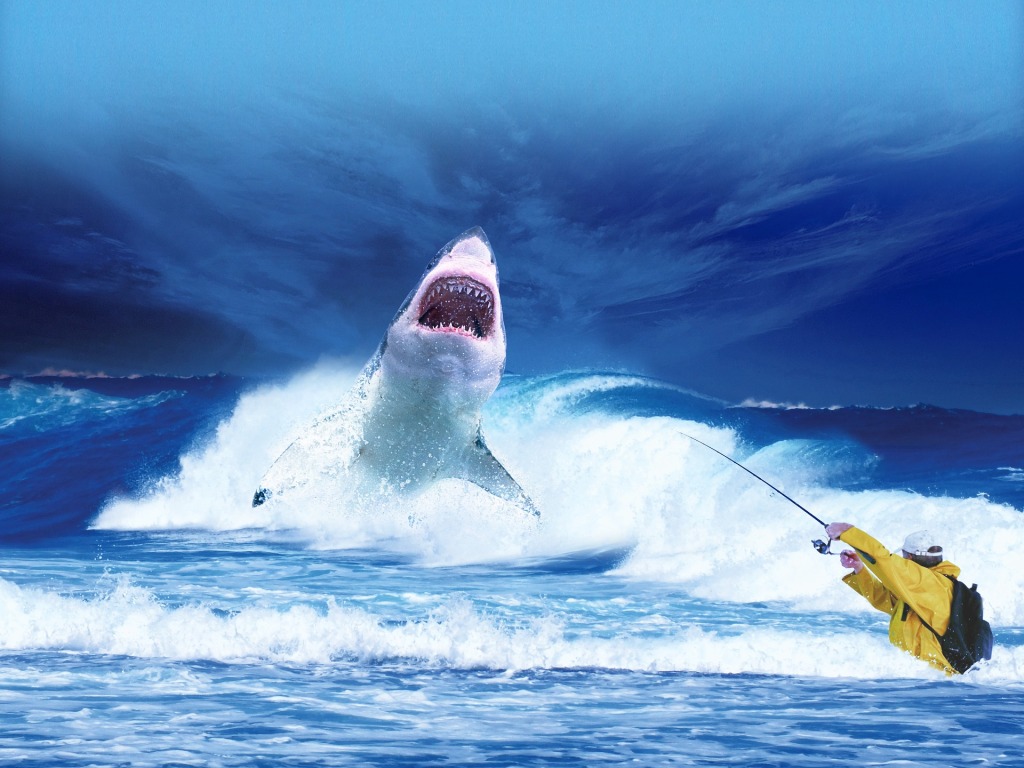 Tips on how to survive a shark attack?